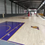 Pre-Fab Steel Sports Hall for Basketball Volleyball Indoor Basketball Court PEB Steel Structure Stadium Gym Steel Sports Hall