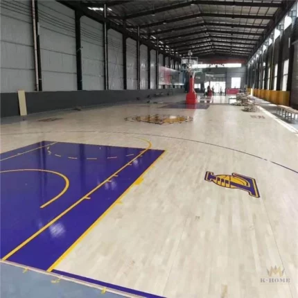 Pre-Fab Steel Sports Hall for Basketball Volleyball Indoor Basketball Court PEB Steel Structure Stadium Gym Steel Sports Hall