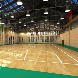 Pre-Fab Steel Sports Hall for Basketball Volleyball Indoor Basketball Court PEB Steel Structure Stadium Gym Steel Sports Hall