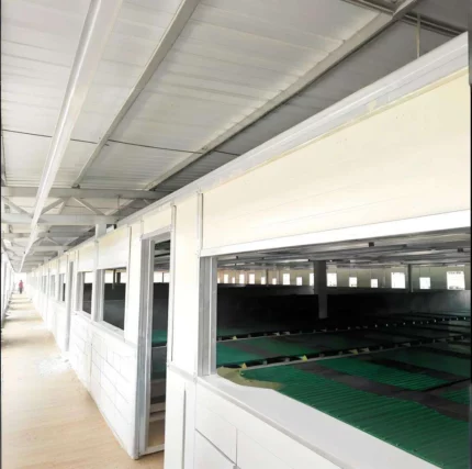 PEB Galvanized Steel Structure Modern Pig Farming Automatic Hog Shed Prefab Pig Pen Feeding System Cow Shed 30-Year Warranty