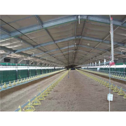 Poultry Farm for 10000 Chicken/Poultry House for 20000 Chickens Duck Poultry Raising Steel Farm Cheap Chicken Husbandry