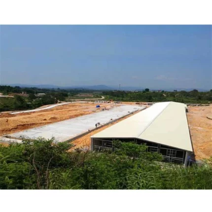 Poultry Farm for 10000 Chicken/Poultry House for 20000 Chickens Duck Poultry Raising Steel Farm Cheap Chicken Husbandry