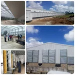 Broiler Chicken Husbandry Poultry Farm for 10000 Chicken/Poultry House for 20000 Chickens Dual-Purpose Poultry Farm