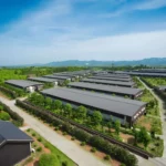 Modern Pig Farming House Automatic Hog Shed Prefab Pig Feeding System Pig House Kits Frame Building Steel Structure Workshop