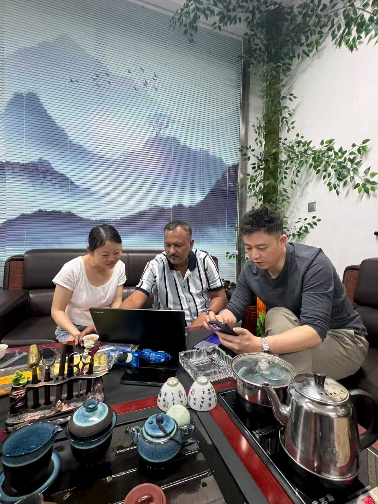 Project discussion with client