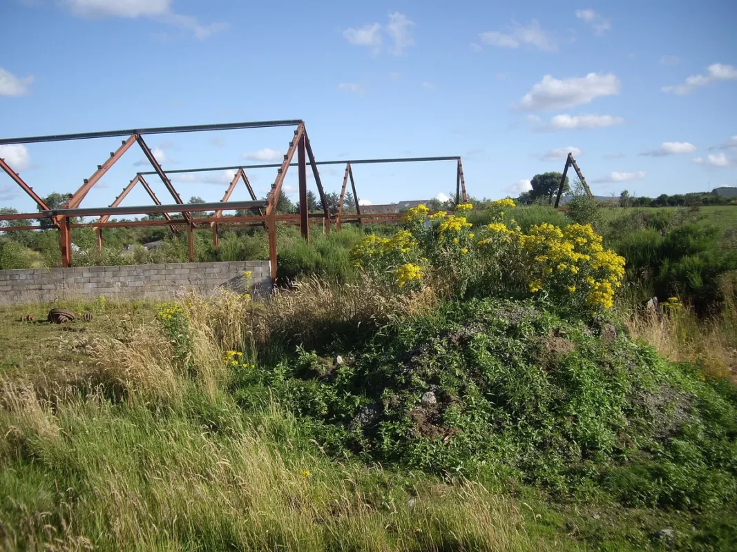 Partially erected steel frame buildings with columns and roof members standing on a construction site