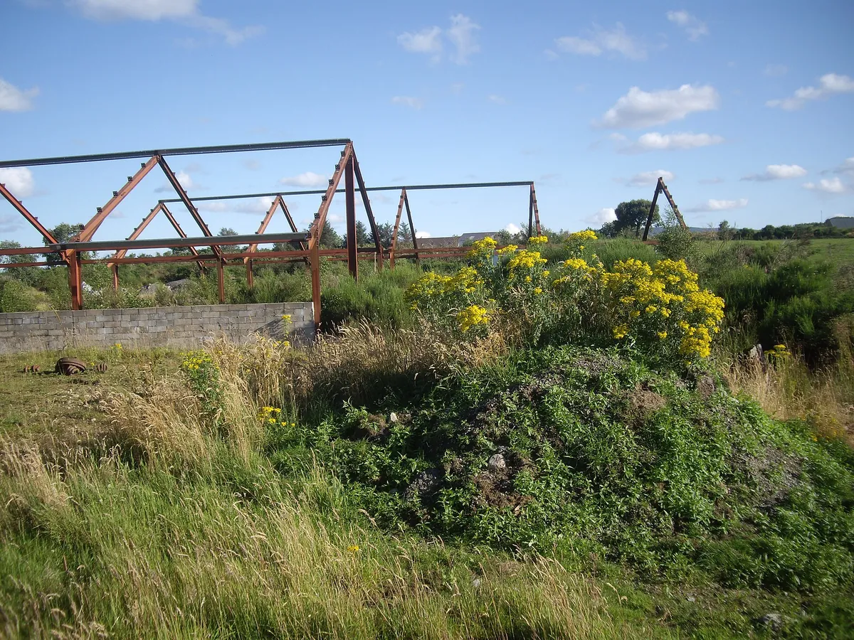 Partially erected steel frame buildings with columns and roof members standing on a construction site